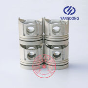 Yangdong Y4102ZLD piston -4