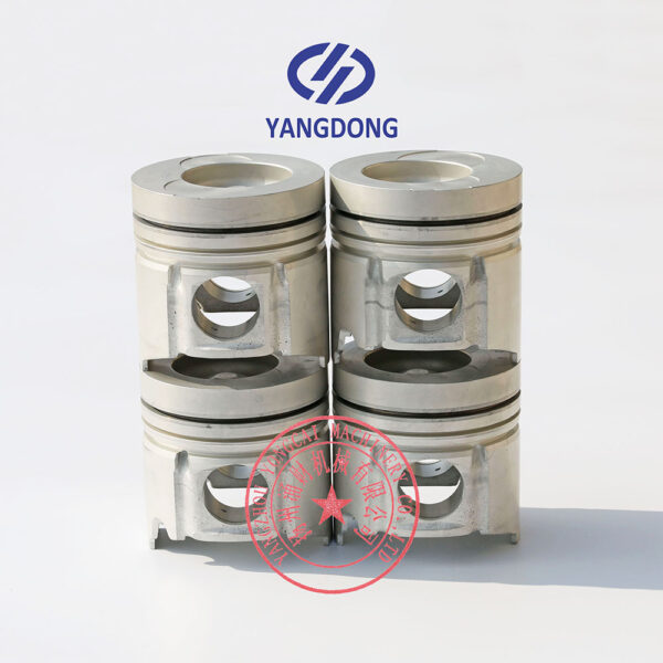 Yangdong Y4102ZLD piston -5