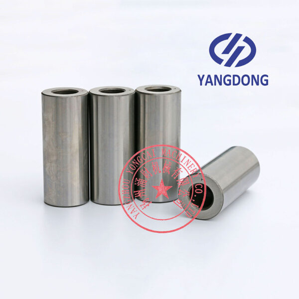 Yangdong Y4102ZLD piston pin -4