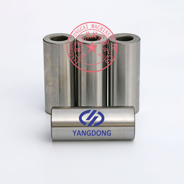 Yangdong Y4102ZLD piston pin -6