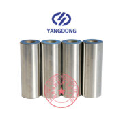 Yangdong Y495D piston pin -1
