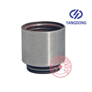Yangdong Y4100D valve oil seal