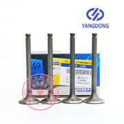 Yangdong Y4102D exhaust valve -1