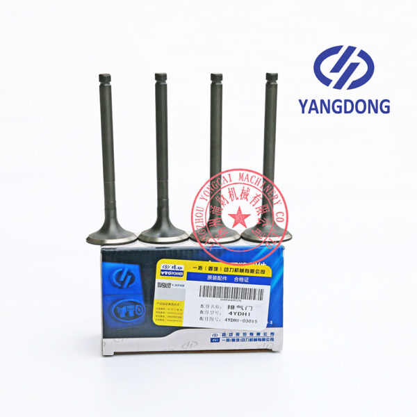 Yangdong Y4102D exhaust valve -4
