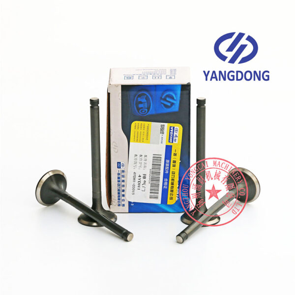 Yangdong Y4102D exhaust valve -5