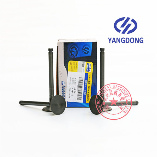 Yangdong Y4102D exhaust valve -6