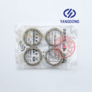 Yangdong Y4102D exhaust valve seat -2