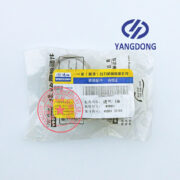 Yangdong Y4102D intake valve seat -1