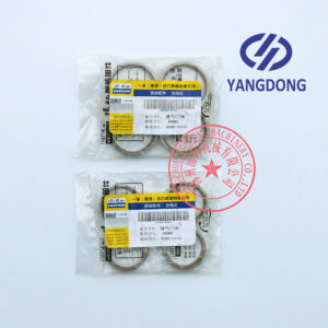 Yangdong Y4102D valve seat