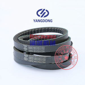 Yangdong Y4100D engine belt