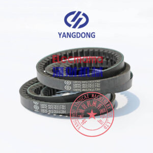 Yangdong Y4100D engine belt