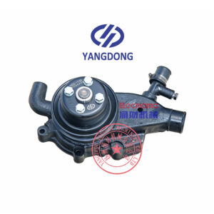 Yangdong Y4102D water pump