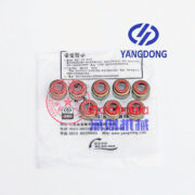 Yangdong YND485G valve oil seal -2