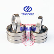 Yangdong YND485G valve seat -2