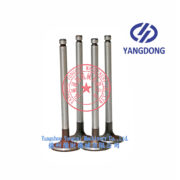 Yangdong Y490D exhaust valve -1