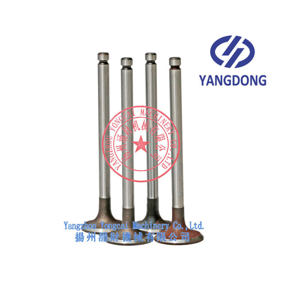 Yangdong Y490D exhaust valve -2
