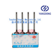 Yangdong Y490D exhaust valve -3