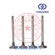 Yangdong Y490D exhaust valve -4