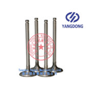 Yangdong Y490D intake valve -1