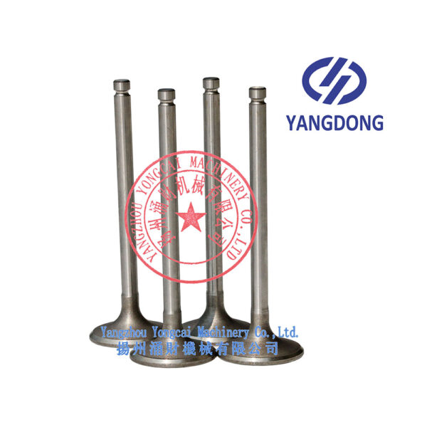 Yangdong Y490D intake valve -2