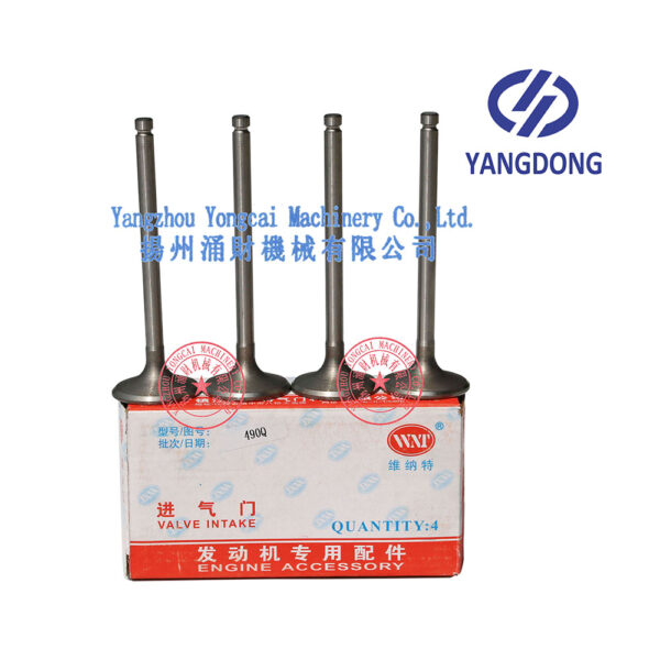 Yangdong Y490D intake valve -3