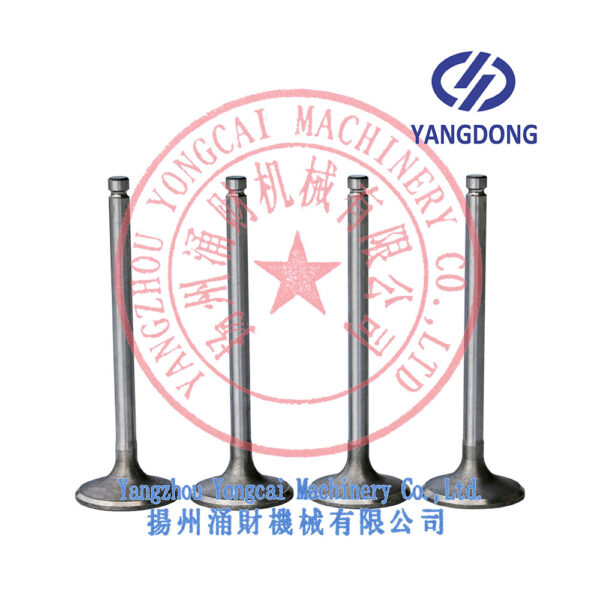 Yangdong Y490D intake valve -4
